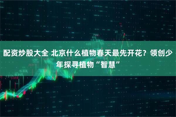 配资炒股大全 北京什么植物春天最先开花？领创少年探寻植物“智慧”